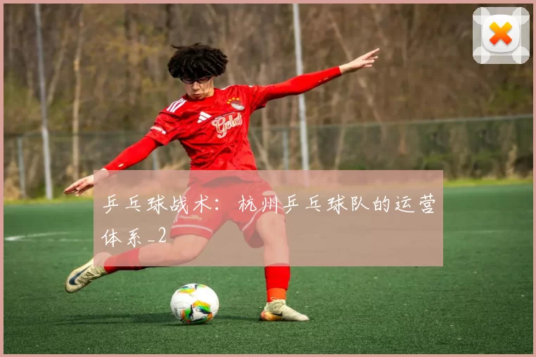乒乓球战术：杭州乒乓球队的运营体系_2