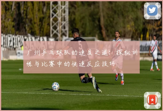 广州乒乓球队的速度之道：探秘训练与比赛中的快速反应技巧